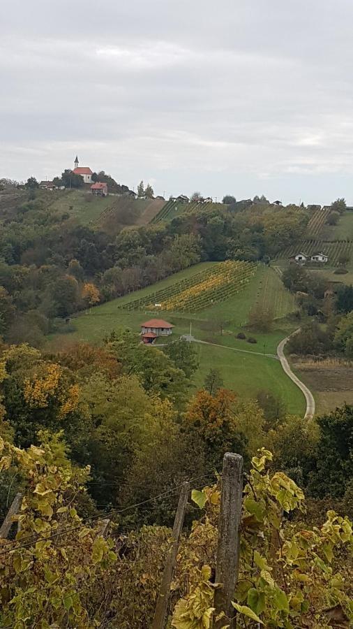 Kuca Za Odmor Nina Villa Sveti Martin Na Muri Exteriör bild